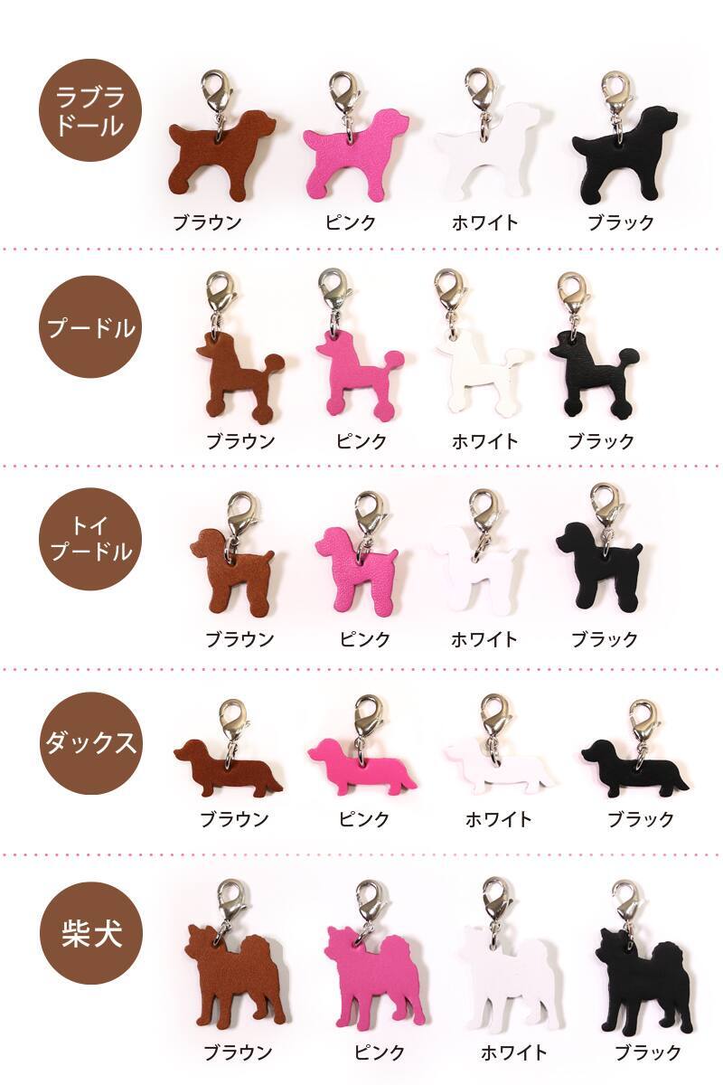 cha-dog-cat_02